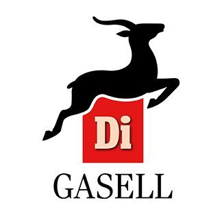 DI-Gasell-5